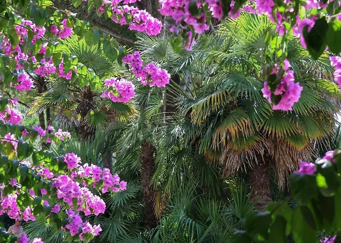 Hotell Il Tridente Hotel 4*