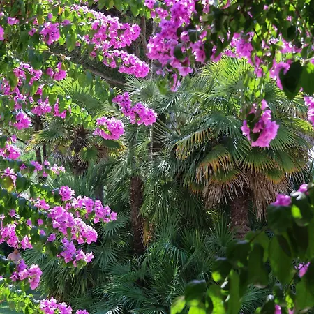 فندق Il Tridente Hotel 4*