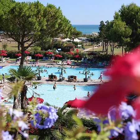 Il Tridente Hotel 4* بيبيوني