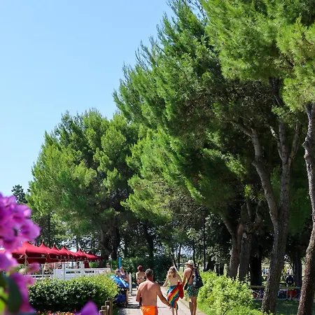 فندق Il Tridente Hotel 4*