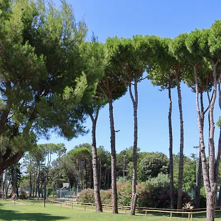 Il Tridente Hotel بيبيوني