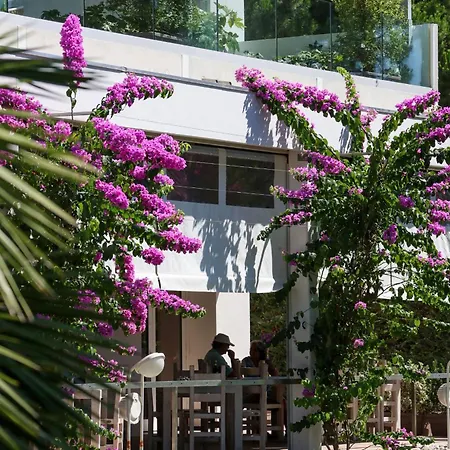 Il Tridente Hotel فندق بيبيوني