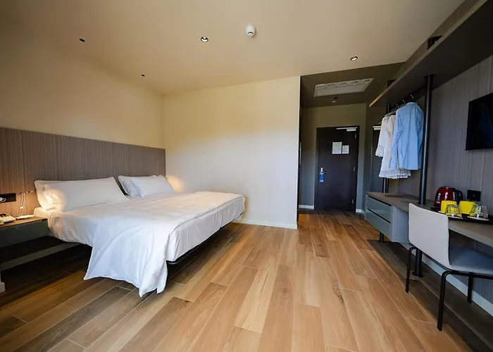 Il Tridente Hotel 4* ביביונה