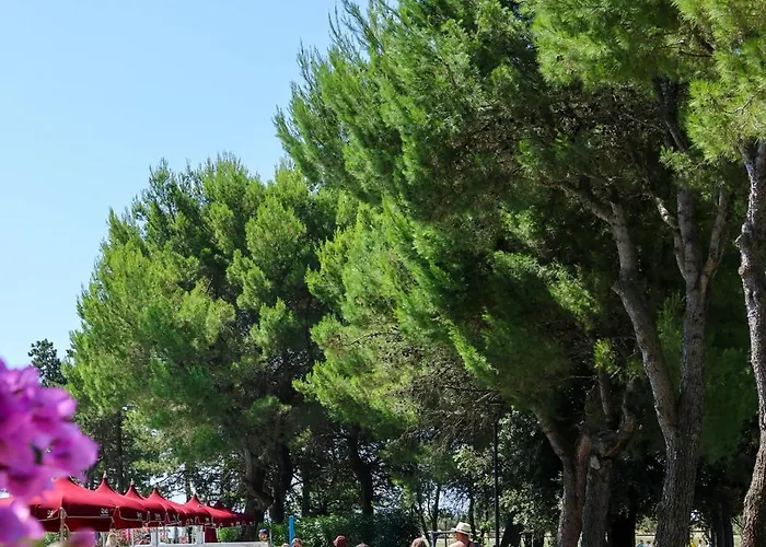 Ξενοδοχείο Il Tridente Hotel 4*