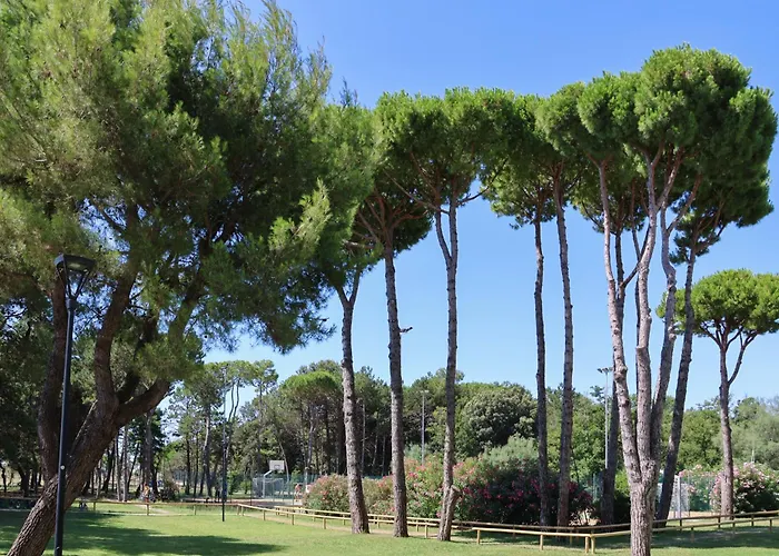 Il Tridente Hotel ביביונה